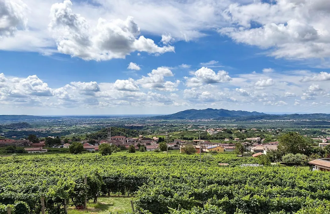 Agriturismo Rive Del Bacio - La Dimora-1